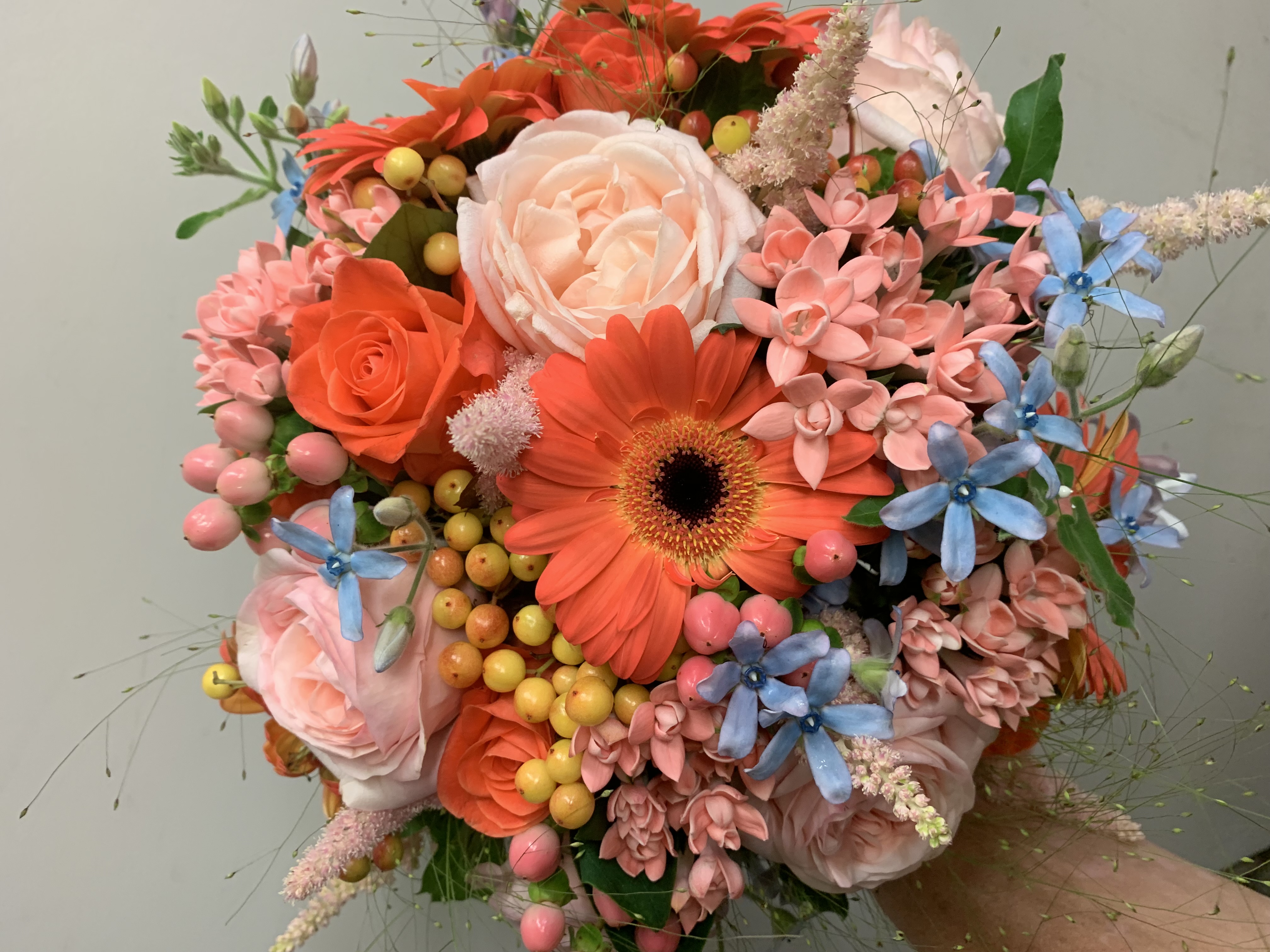 Speciale Gelegenheden